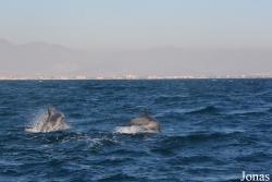 Fujairah