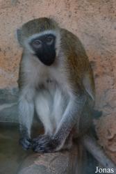 Emirates Park Zoo and Resort
