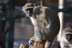 Emirates Park Zoo and Resort
