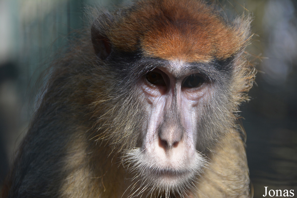 Emirates Park Zoo and Resort
