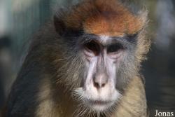 Emirates Park Zoo and Resort