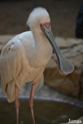 Emirates Park Zoo and Resort