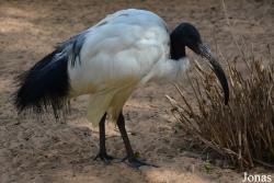 Emirates Park Zoo and Resort