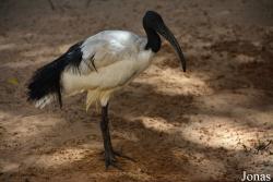 Emirates Park Zoo and Resort
