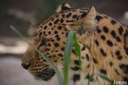 Emirates Park Zoo and Resort