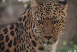 Emirates Park Zoo and Resort