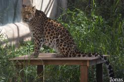 Emirates Park Zoo and Resort