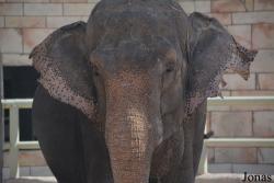 Emirates Park Zoo and Resort