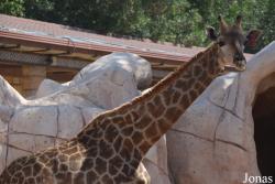 Emirates Park Zoo and Resort