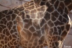 Emirates Park Zoo and Resort