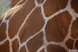 Emirates Park Zoo and Resort