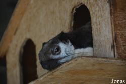 Emirates Park Zoo and Resort