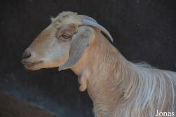 Emirates Park Zoo and Resort