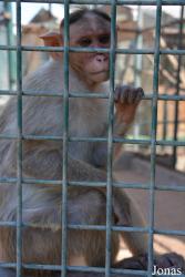 Emirates Park Zoo and Resort