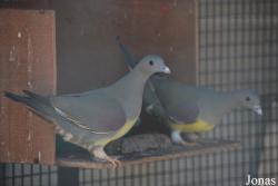 Emirates Park Zoo and Resort