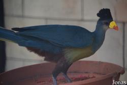 Emirates Park Zoo and Resort