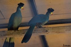 Emirates Park Zoo and Resort