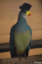 Emirates Park Zoo and Resort
