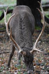 Tierpark Oberwald