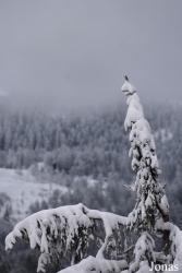 Seebach