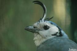 Vogelpark Walsrode