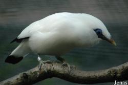 Vogelpark Walsrode