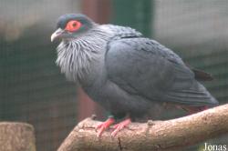 Vogelpark Walsrode