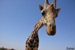 Al Ain Zoo