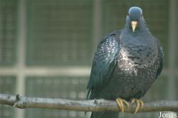 Vogelpark Walsrode