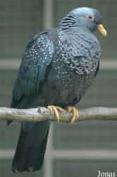 Vogelpark Walsrode