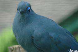 Vogelpark Walsrode