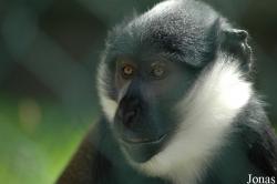 Tierpark Ströhen