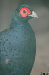 Tierpark Ströhen