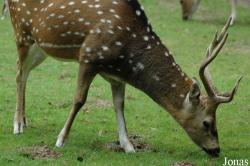 Tierpark Ströhen