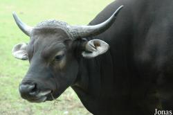 Tierpark Ströhen