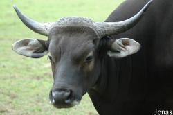 Tierpark Ströhen