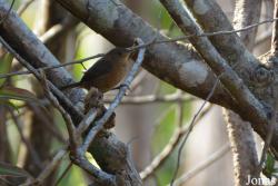 Syndicate Nature Trail