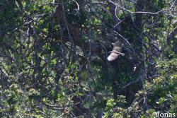 Syndicate Nature Trail