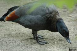 Tierpark Ströhen