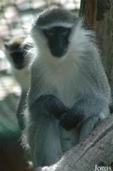 Tierpark Ströhen