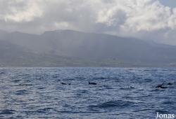 Guadeloupe