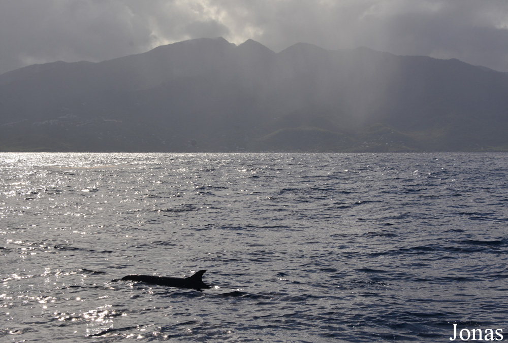 Guadeloupe