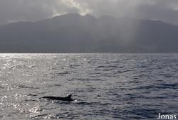 Guadeloupe