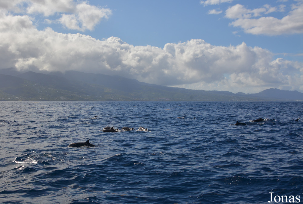 Guadeloupe