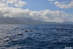 Guadeloupe