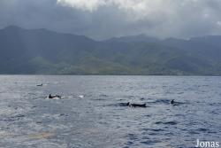 Guadeloupe