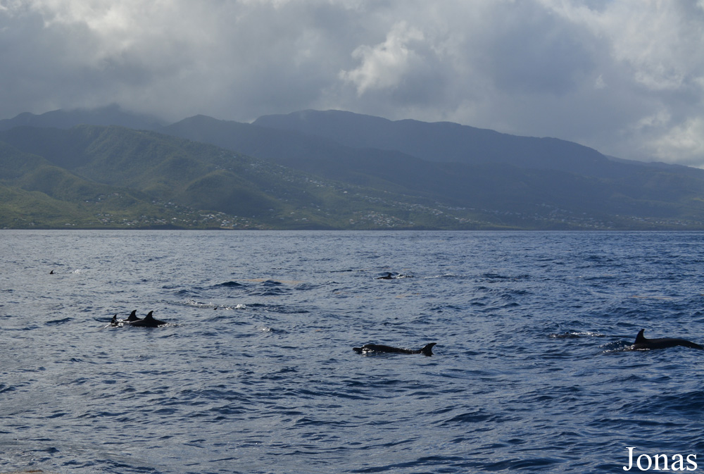 Guadeloupe