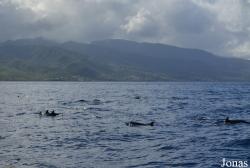 Guadeloupe