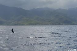 Guadeloupe