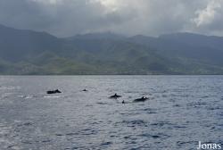 Guadeloupe